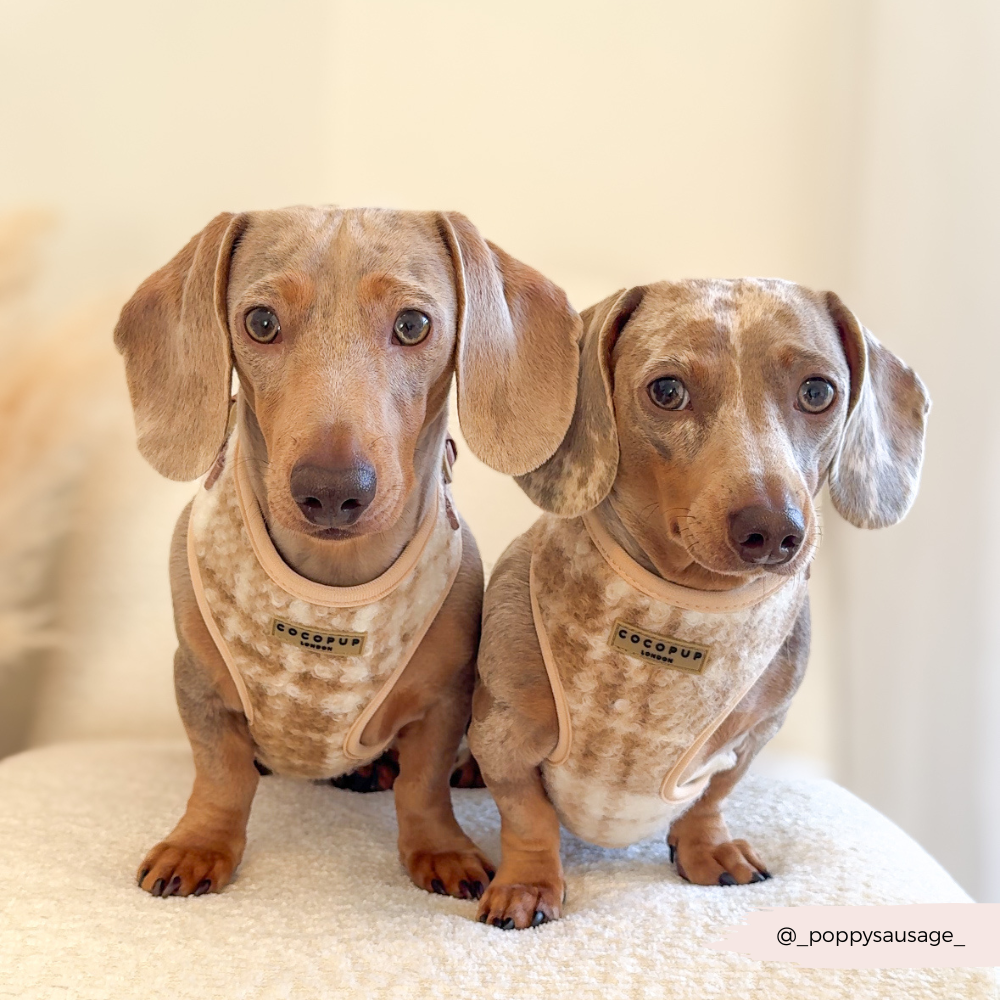 Highland Fleece Adjustable Neck HARNESS - Oatmeal