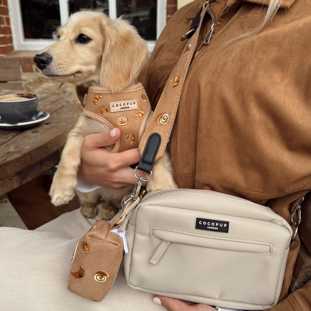 Dog Walking Caramel Latte Bag Bundle - Pawtisserie