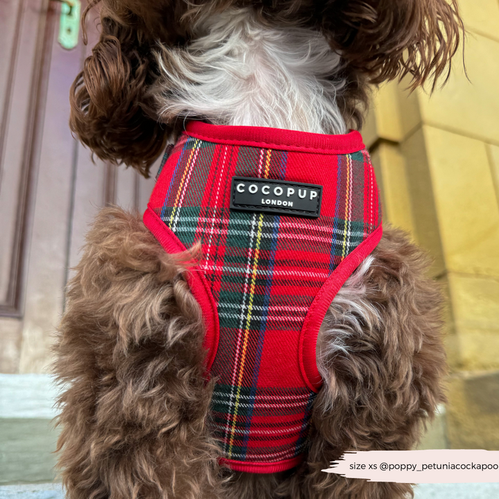 Tartan Adjustable Neck Harness