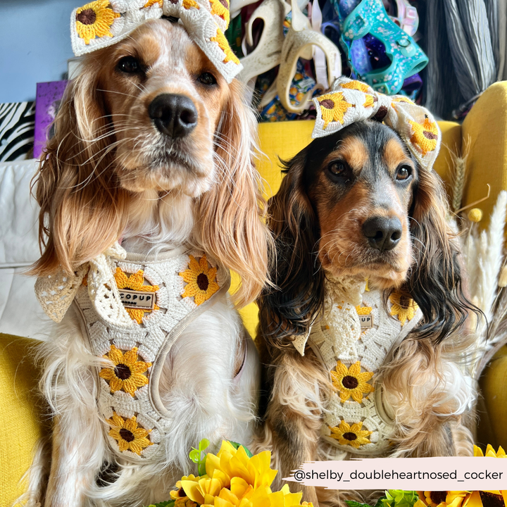 Sunflower Patch Adjustable Neck Harness