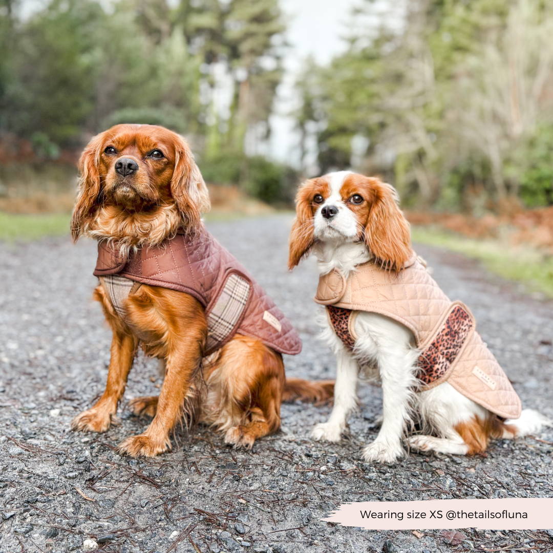 LUXE Quilted Dog Coat - Leopard Pup