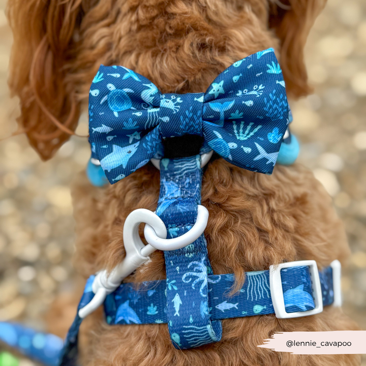 Sea Life Pawty Bow Tie