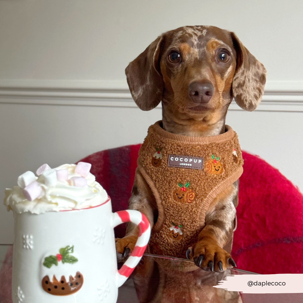 Festive Pudding Pup Adjustable Neck HARNESS