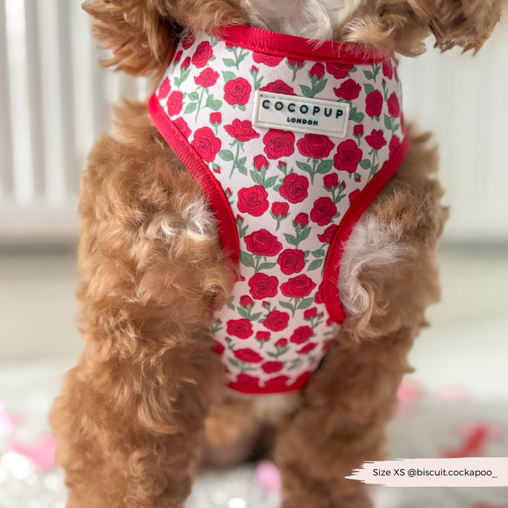 Barkquet of Roses Adjustable Neck Harness