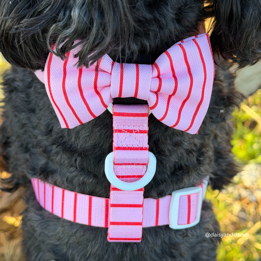 Candy Stripe Bow Tie