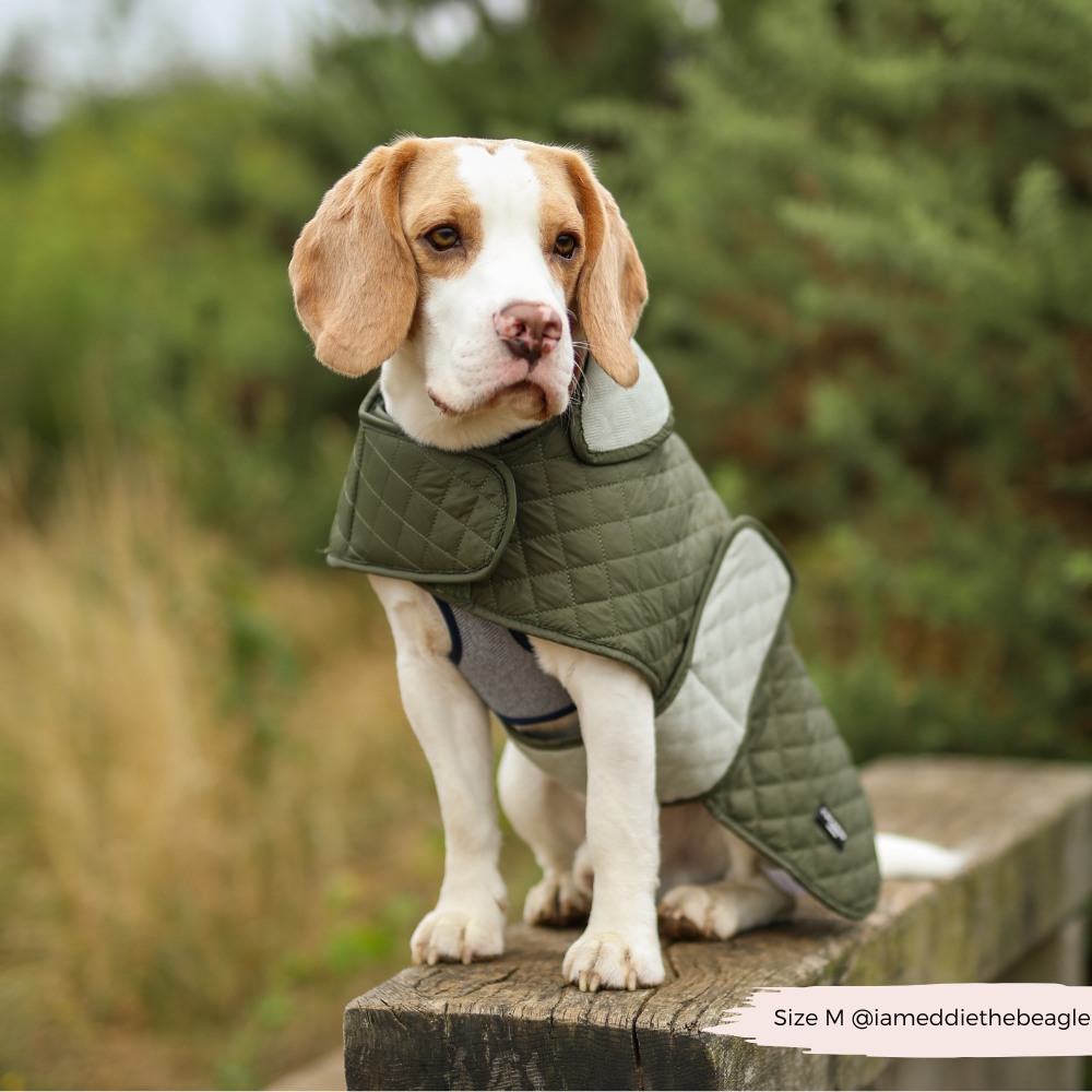 LUXE Quilted Dog Coat - Country Khaki