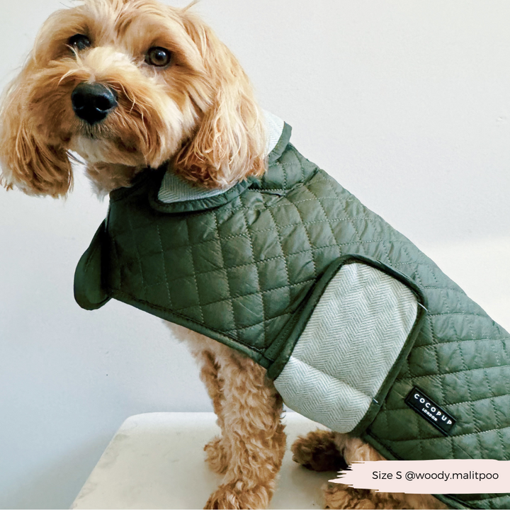 LUXE Quilted Dog Coat - Country Khaki