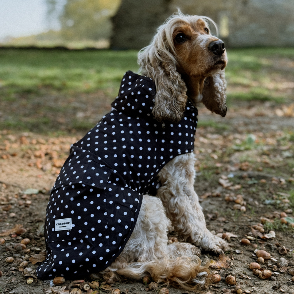 Dog Raincoat - Black Polka Dot