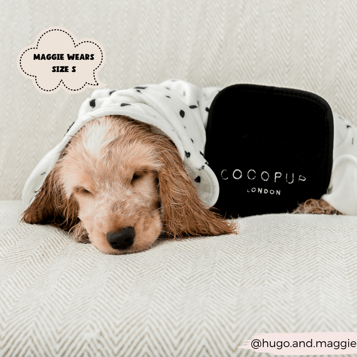 A small dog with light brown fur is asleep, partially covered by a Dalmatian Drying Robe from Cocopup London. The blanket is white with black polka dots and reads "COCOPUP LONDON." Text inside a cloud shape on the image says "MAGGIE WEARS SIZE S," while the social media handle "@hugo.and.maggie" is in the bottom right corner.