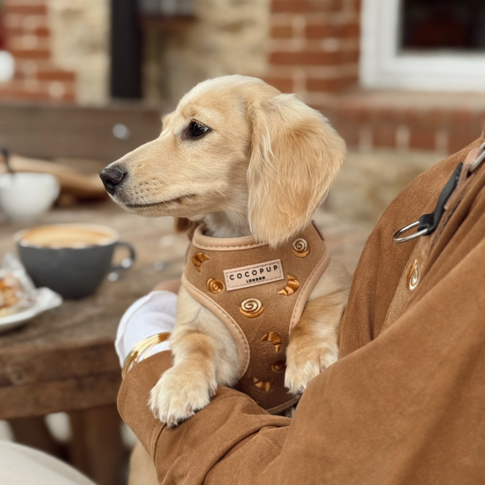 Pawtisserie Adjustable Neck HARNESS