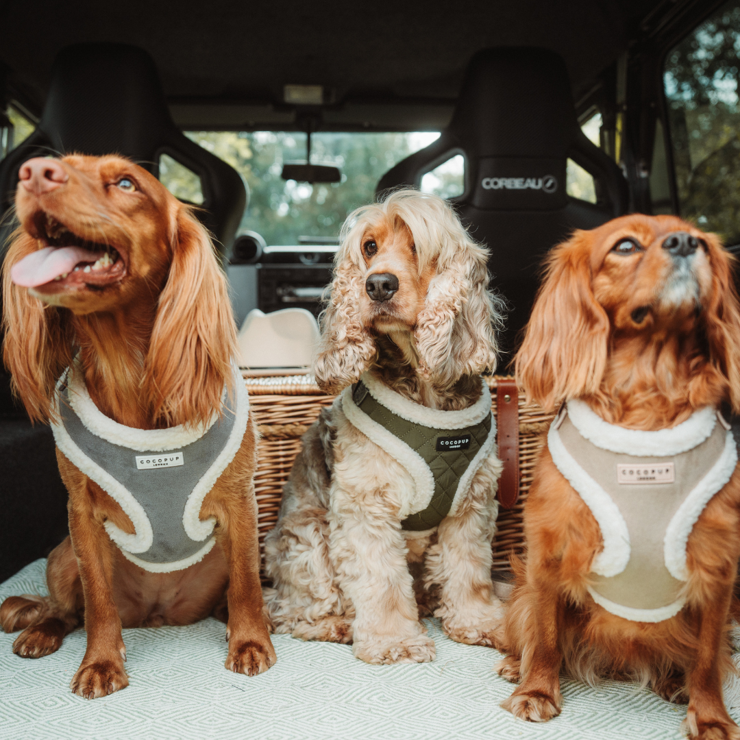 Khaki Quilted Adjustable Neck Harness