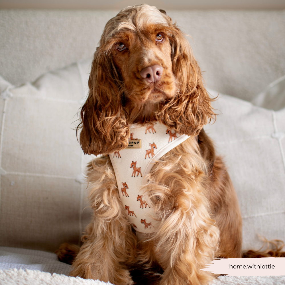 Fleecy Fawn Adjustable Neck HARNESS