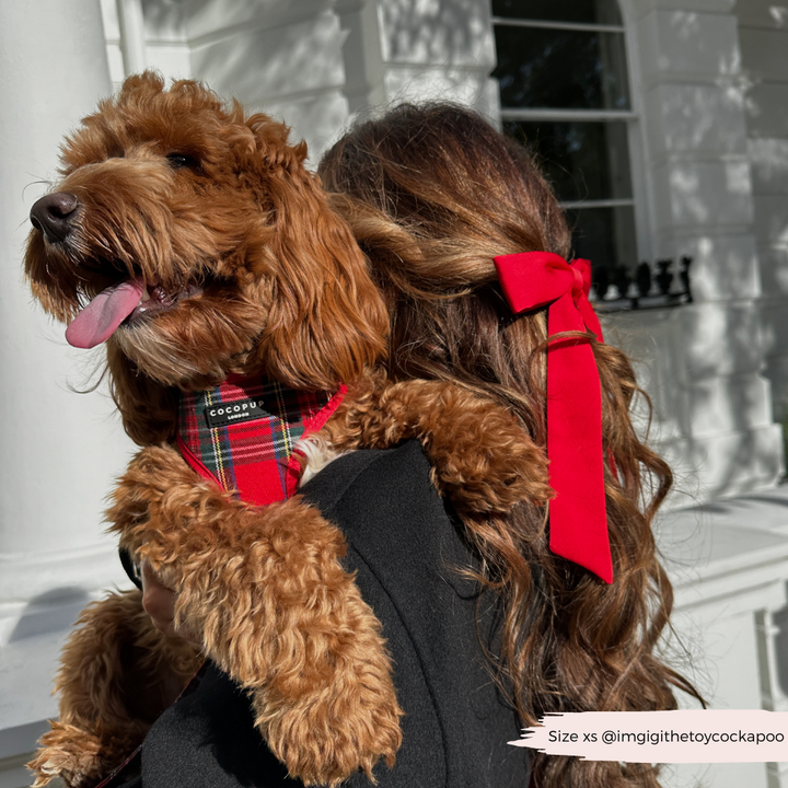 Tartan Adjustable Neck Harness, Lead & Collar Bundle