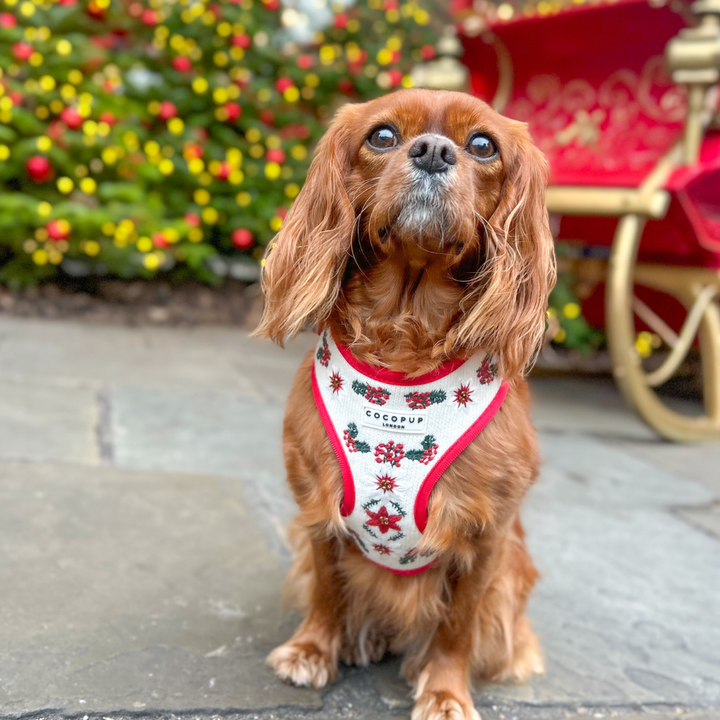 LUXE Embroidered Frosty Flower Harness