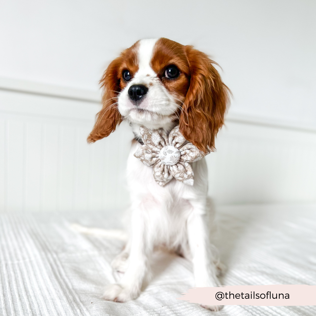 LUXE Garden Meadow Collar Flower