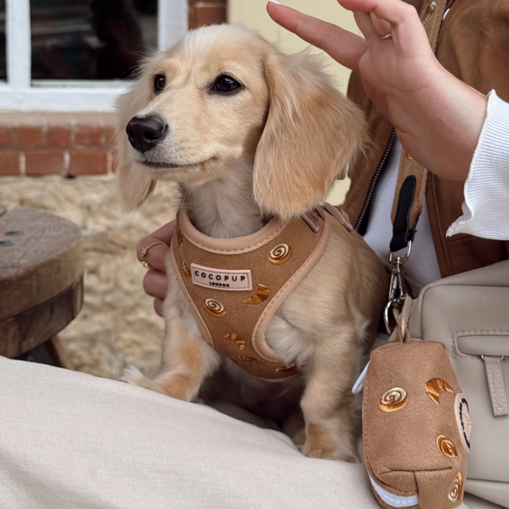 Pawtisserie Adjustable Neck HARNESS