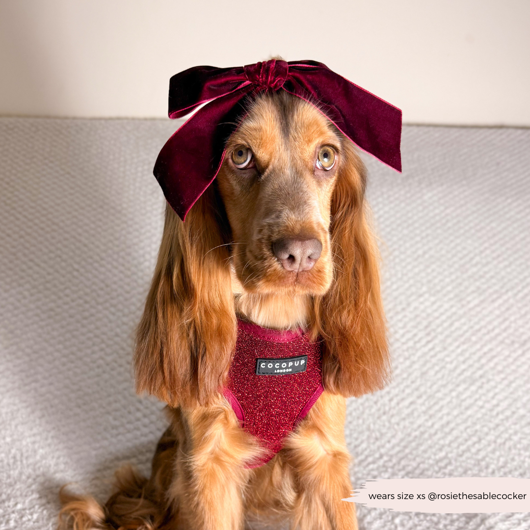 Limited Edition Burgundy Sparkle Pup Adjustable Neck Harness, Lead & Collar Bundle