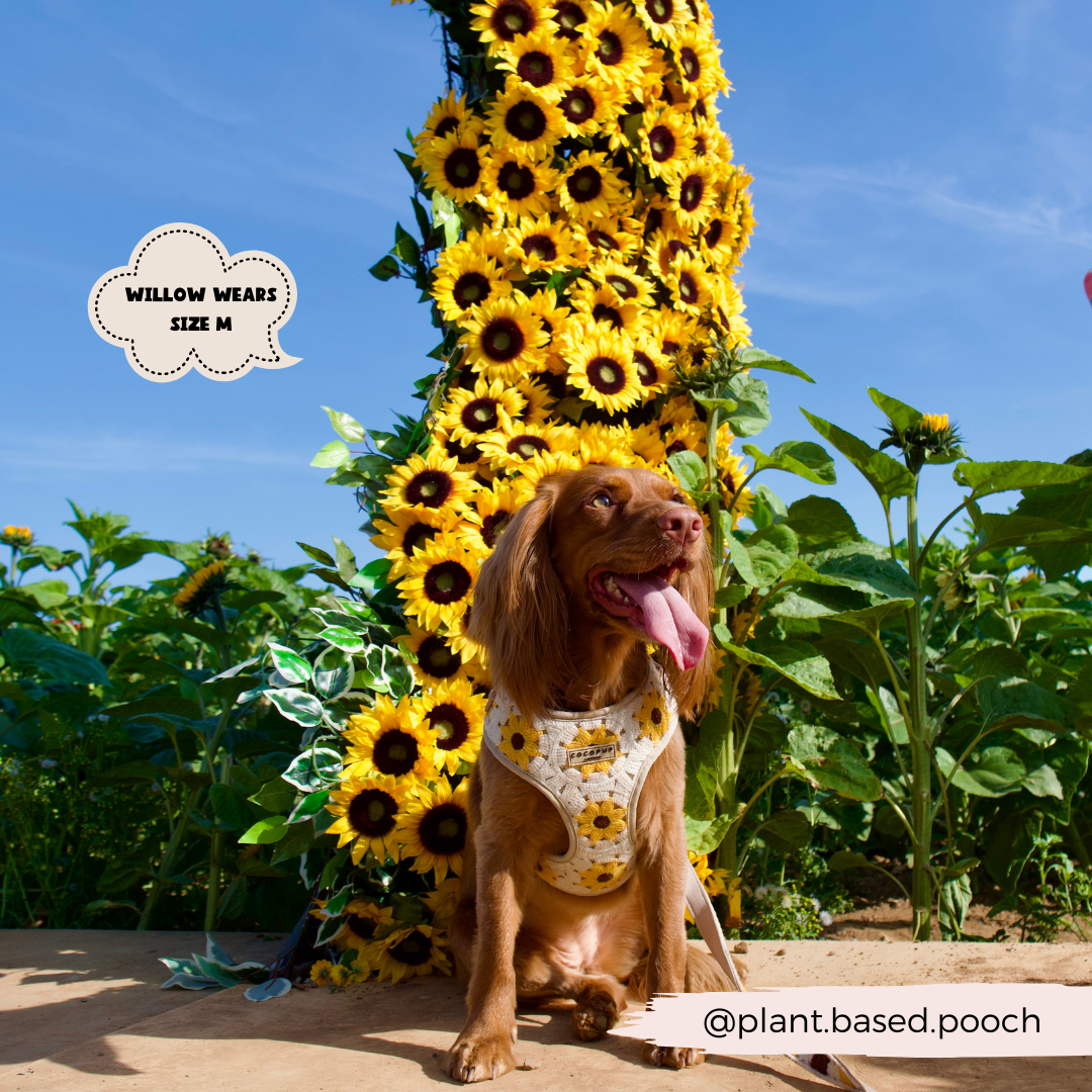 A happy dog wearing a stylish Sunflower Patch Adjustable Neck Harness from Cocopup London sits in front of a large sunflower arrangement in a sunny garden. A sign reads "Willow wears size M." The dog's Instagram handle "@plant.based.pooch" is displayed in the bottom right corner of the image.