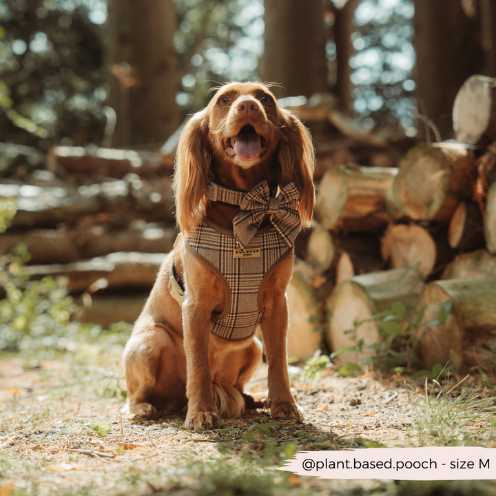 Pup Plaid Adjustable Neck Harness