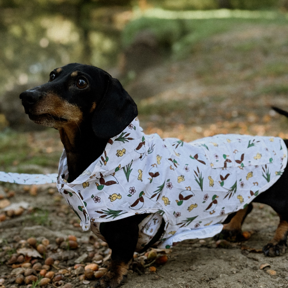 Dog Raincoat - Puddle Pup