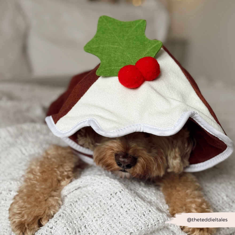 Christmas Pudding Drying Robe