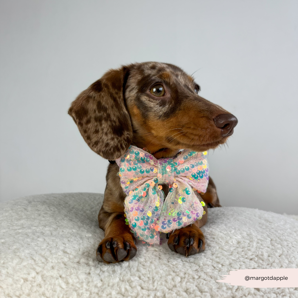 Limited Edition LUXE Party Rose Gold Sequin Sailor Bow Tie