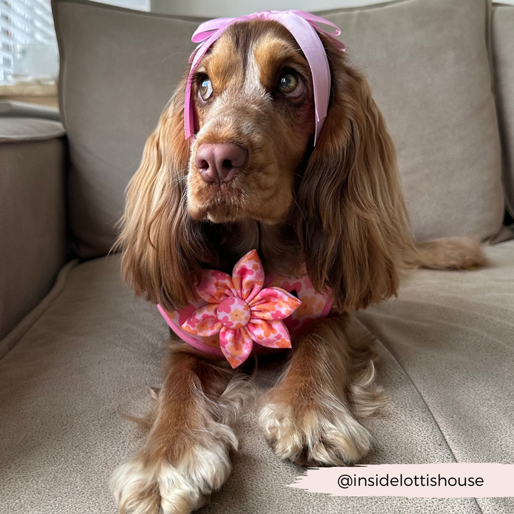 Summer Bloom Collar Flower