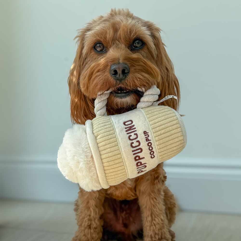 Puppuccino Dog Toy