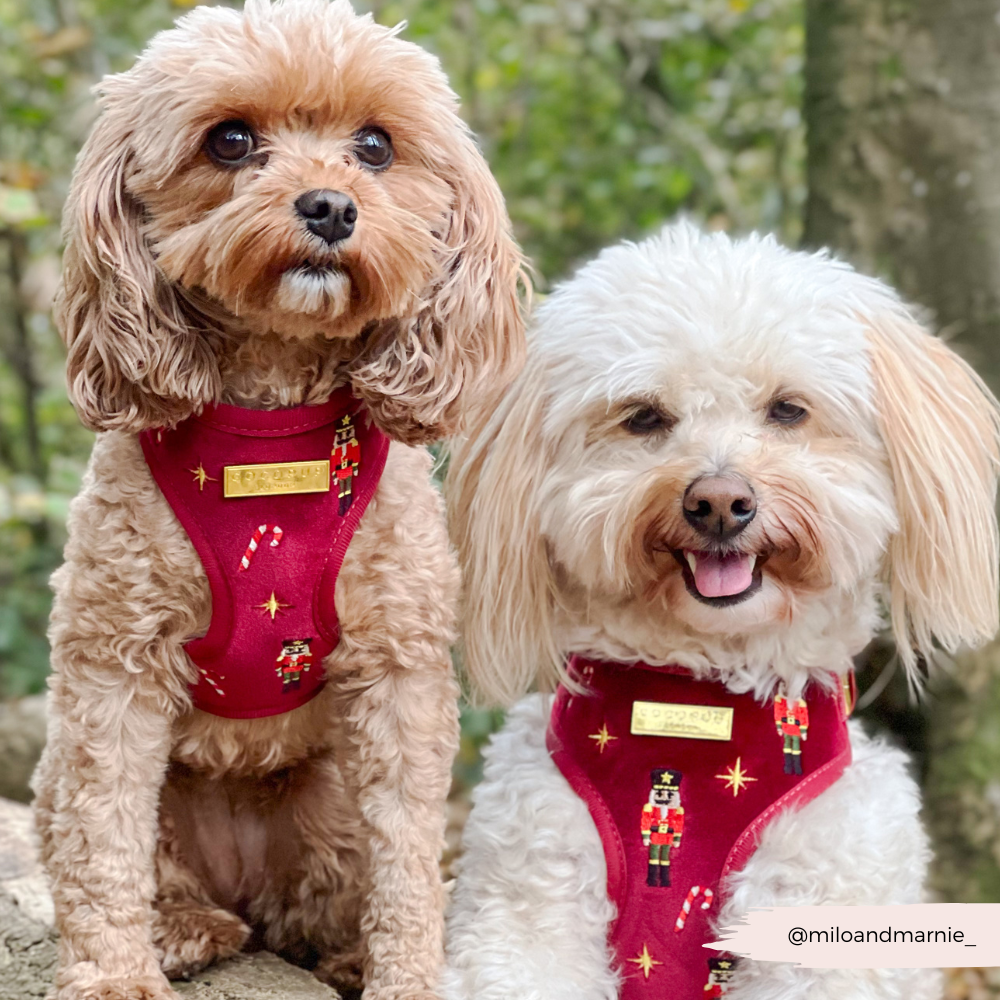 The Muttcracker Adjustable Neck HARNESS