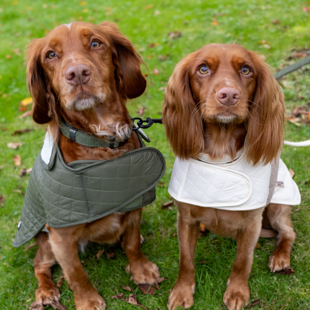 LUXE Quilted Dog Coat - Country Khaki