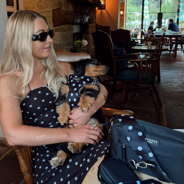 Satin Polka Dot Adjustable Neck Harness, Lead & Collar Bundle