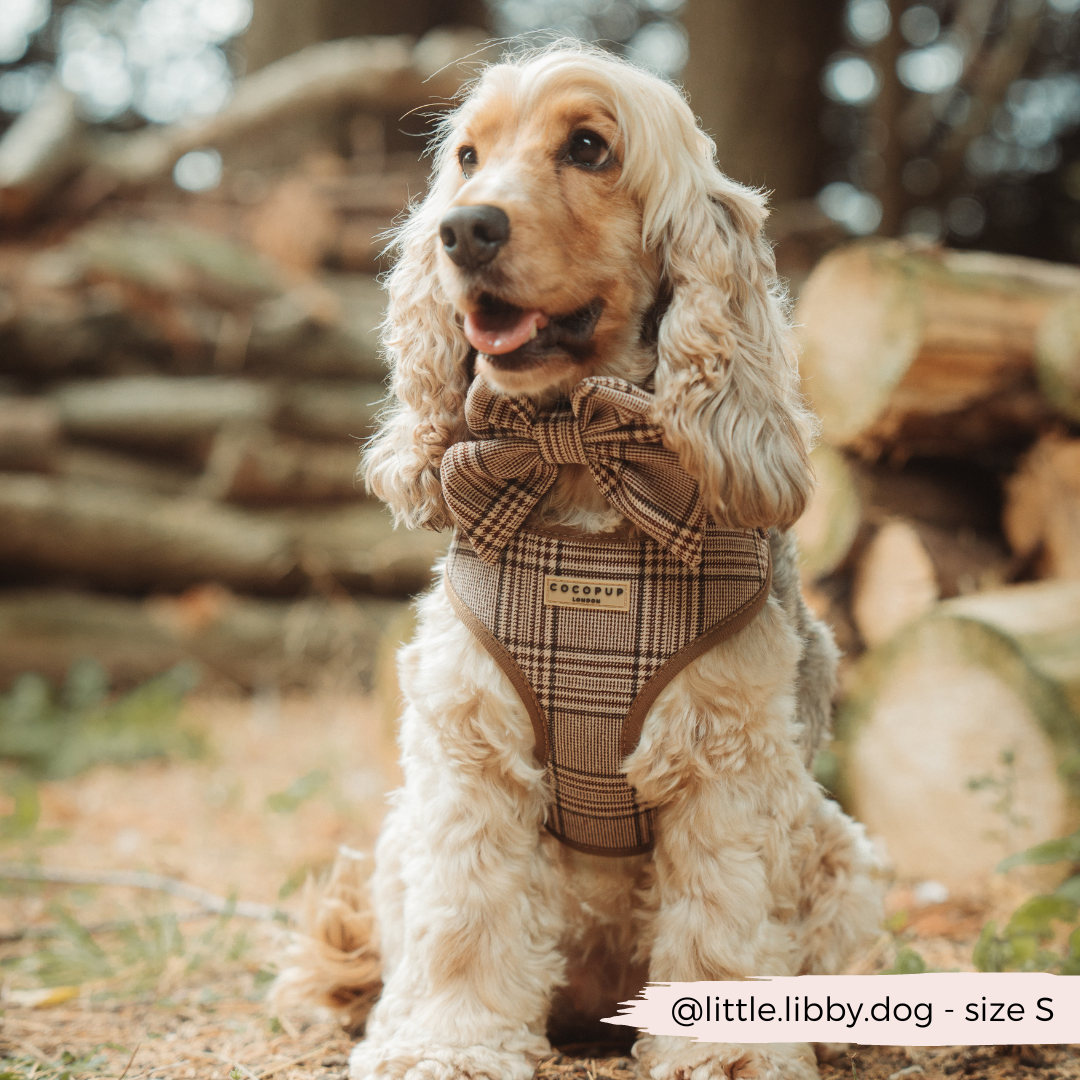 Pup Plaid Adjustable Neck Harness