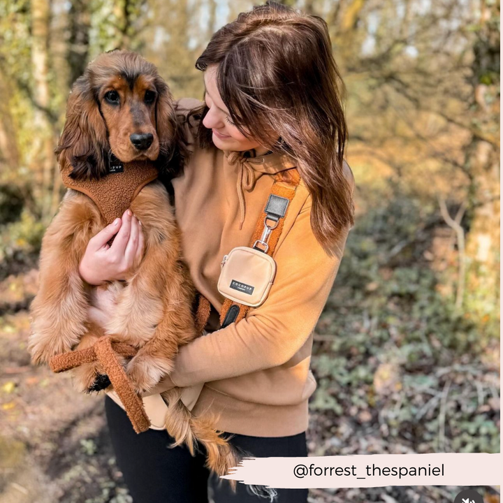 A woman in a beige hoodie holds a brown dog with long ears, wearing the Teddy Paddington Adjustable Neck Harness from the Cocopup London Lead & Collar Bundle, outdoors. Both look content. The dog's matching harness and fully coordinated accessories set, made from durable neoprene material, add to the charm. The background features trees and foliage. A small tag at the bottom right corner reads "@forrest_thespaniel".