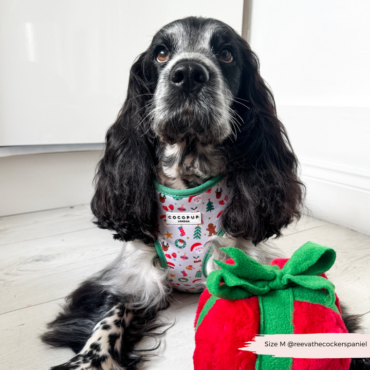 Christmas Pawty Adjustable Neck Harness, Lead & Collar Bundle