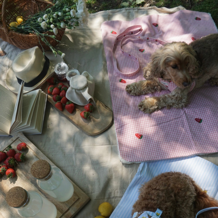 Travel Mat & Blanket Set - Strawberry Picnic Pup