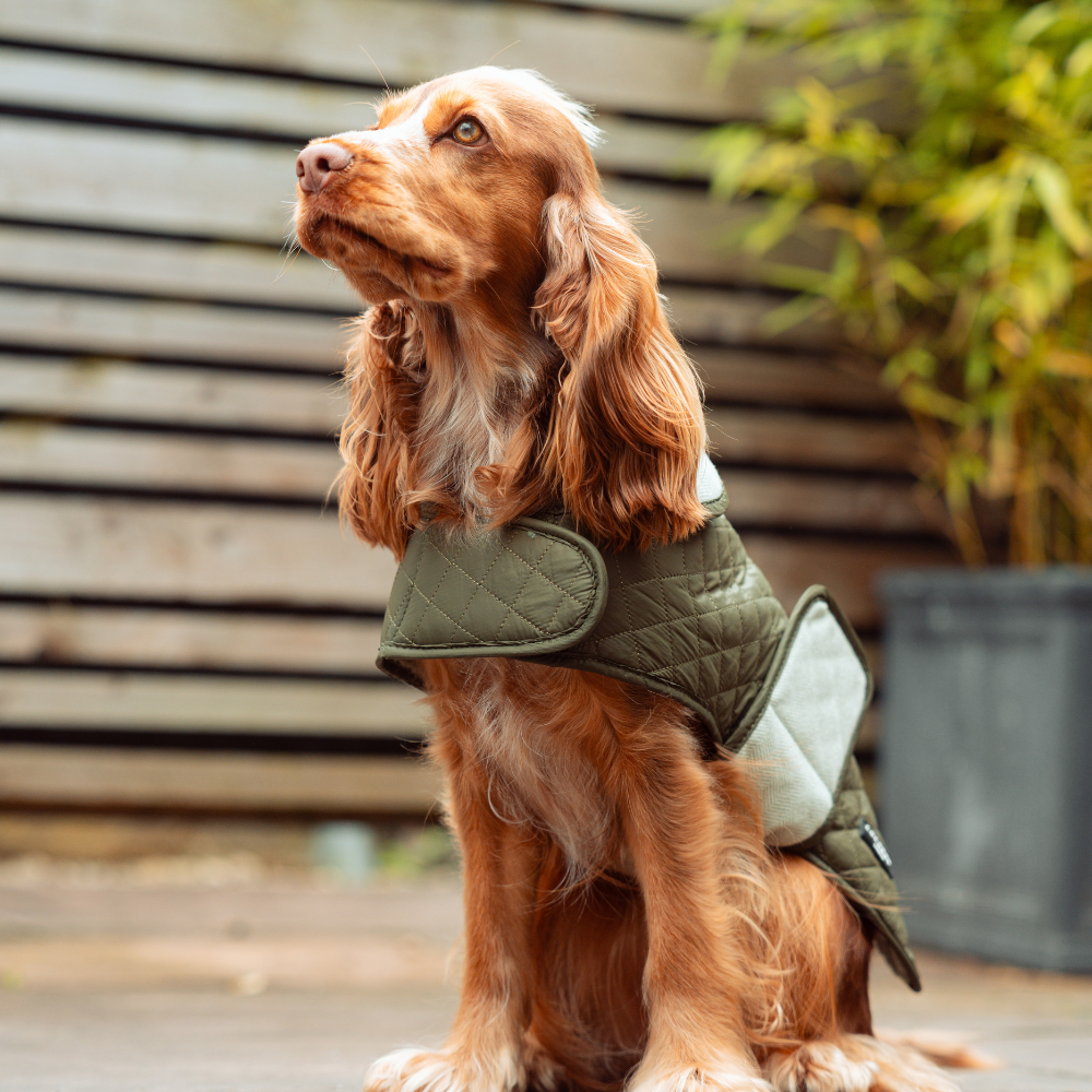 LUXE Quilted Dog Coat - Country Khaki