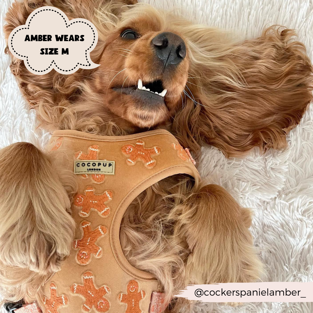 Luxe Velvet Adjustable Neck Harness - Gingerbread Treats