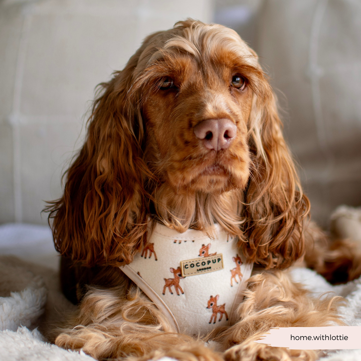 Fleecy Fawn Adjustable Neck HARNESS