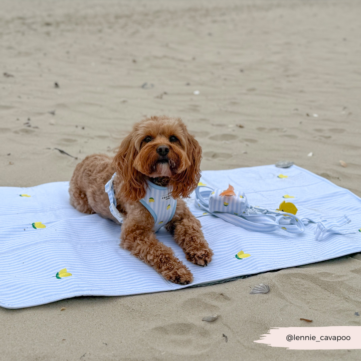 Travel Mat - Living La Vida Lemon