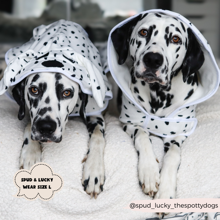 Dalmatian Drying Robe