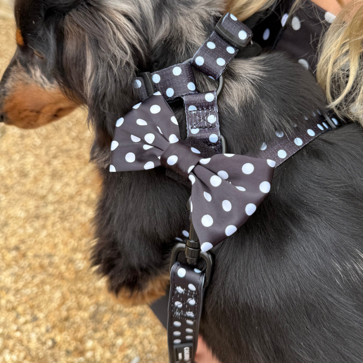 Satin Polka Dot Bow Tie