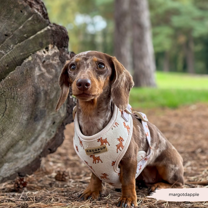 Fleecy Fawn Adjustable Neck HARNESS