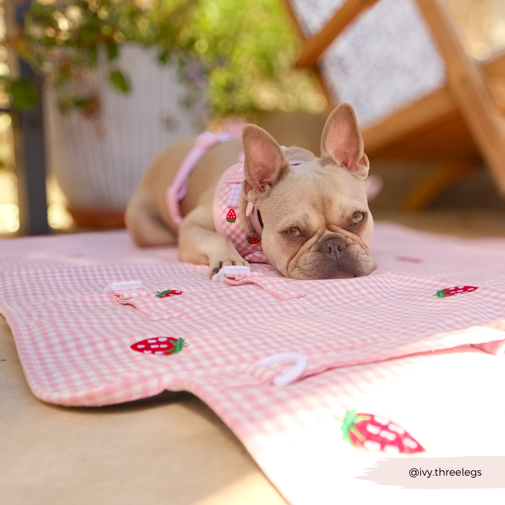 Travel Mat & Blanket Set - Strawberry Picnic Pup