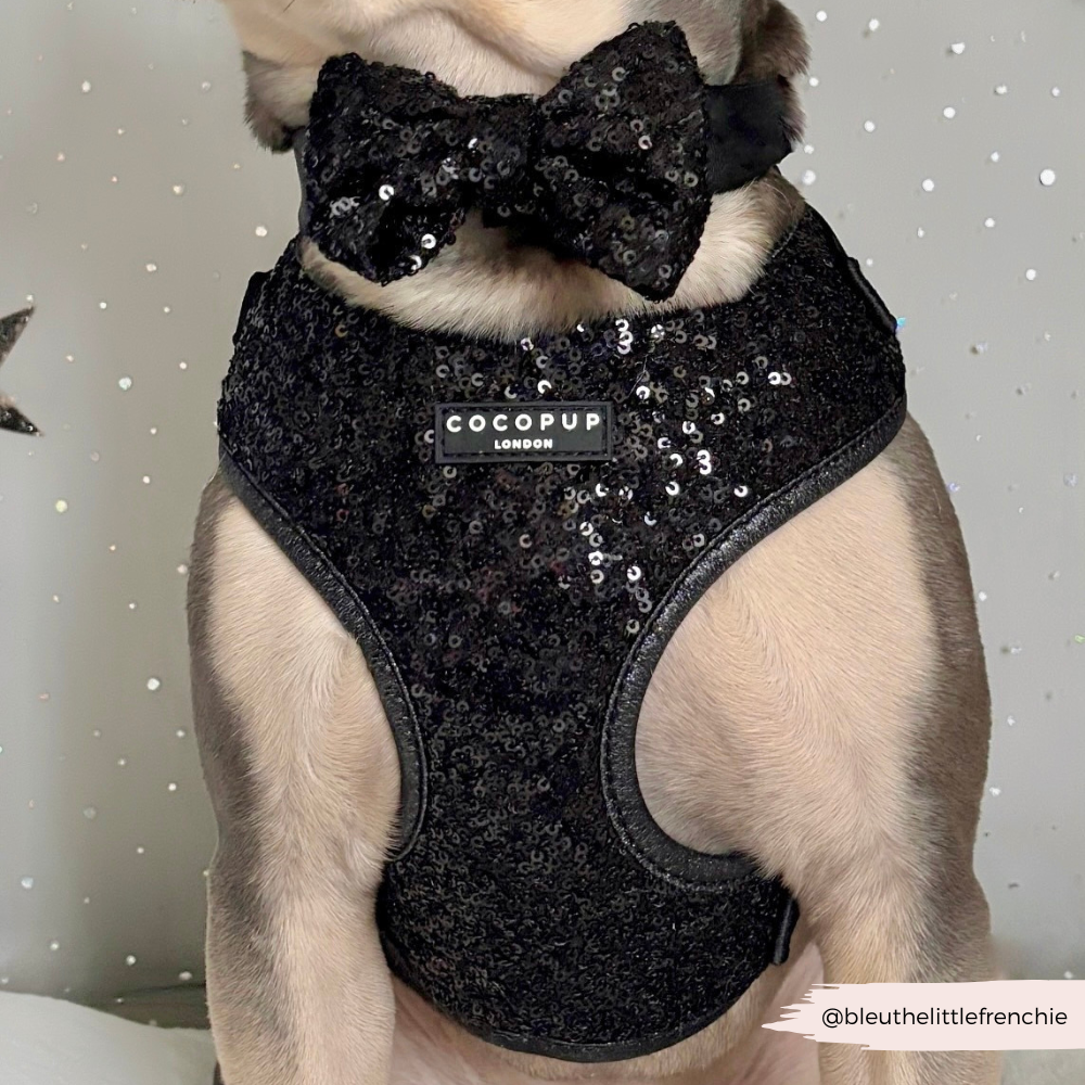 Limited Edition Sparkle Season Black Bow Tie