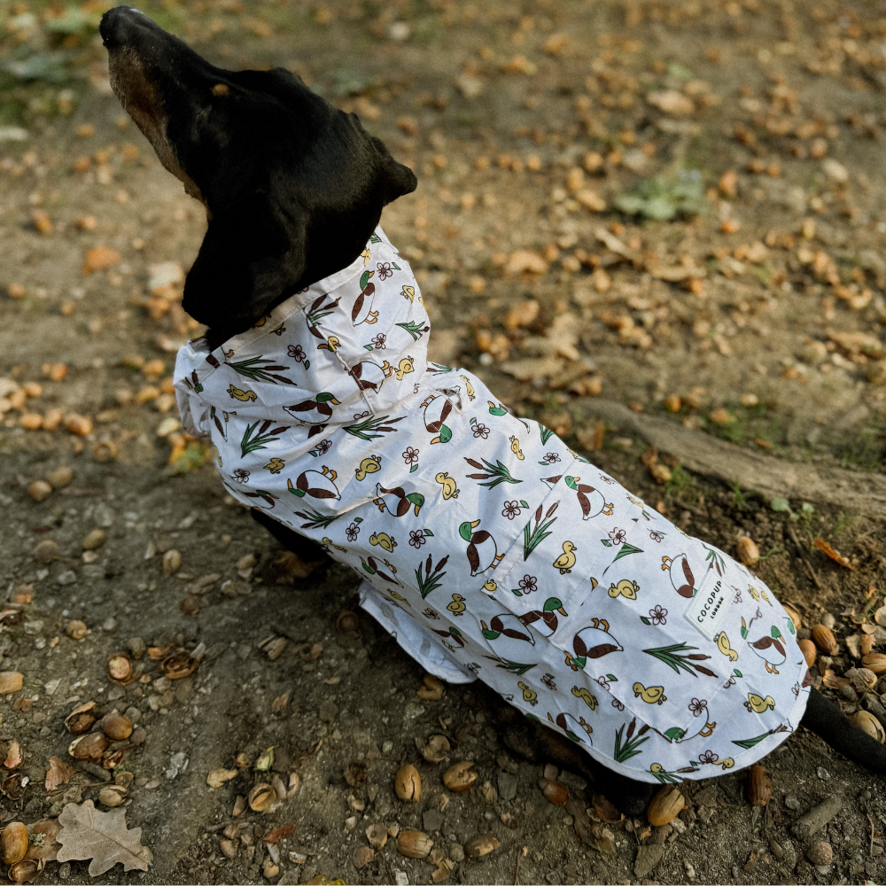 Dog Raincoat - Puddle Pup