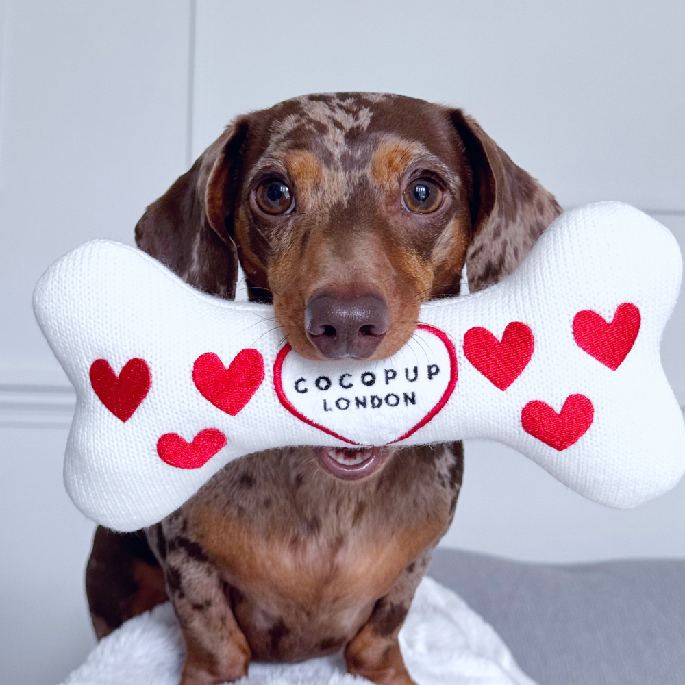 Hugs & Knitted Bone Toy