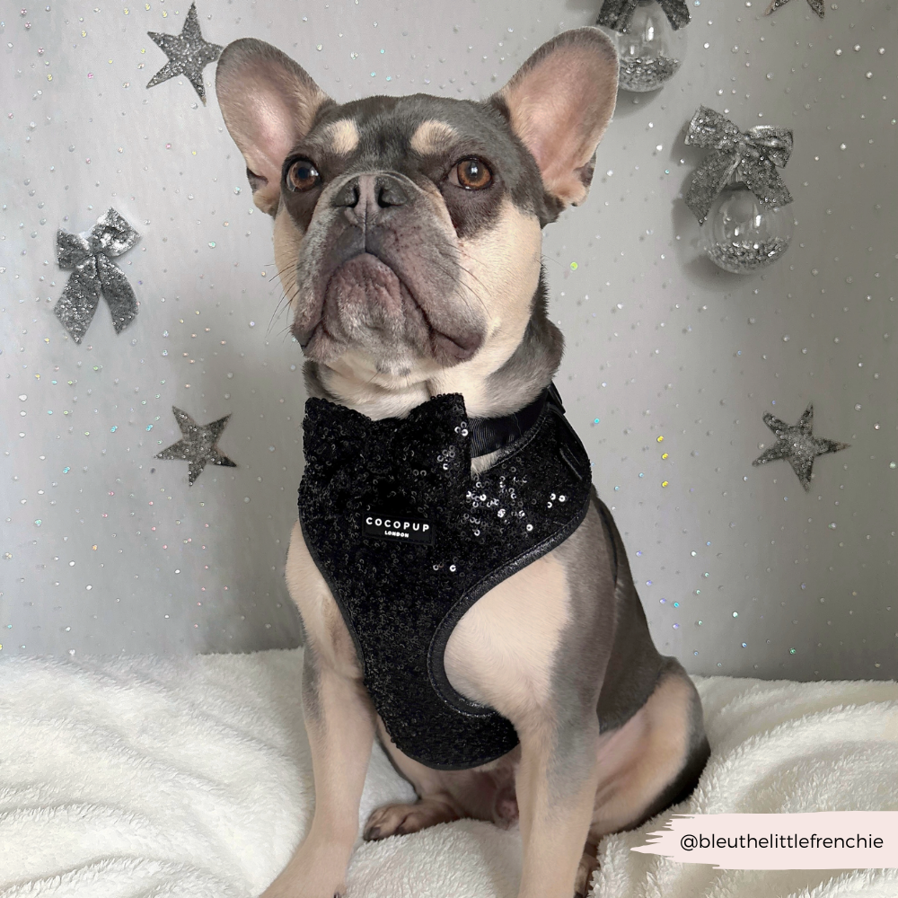 Limited Edition Sparkle Season Black Adjustable Neck HARNESS