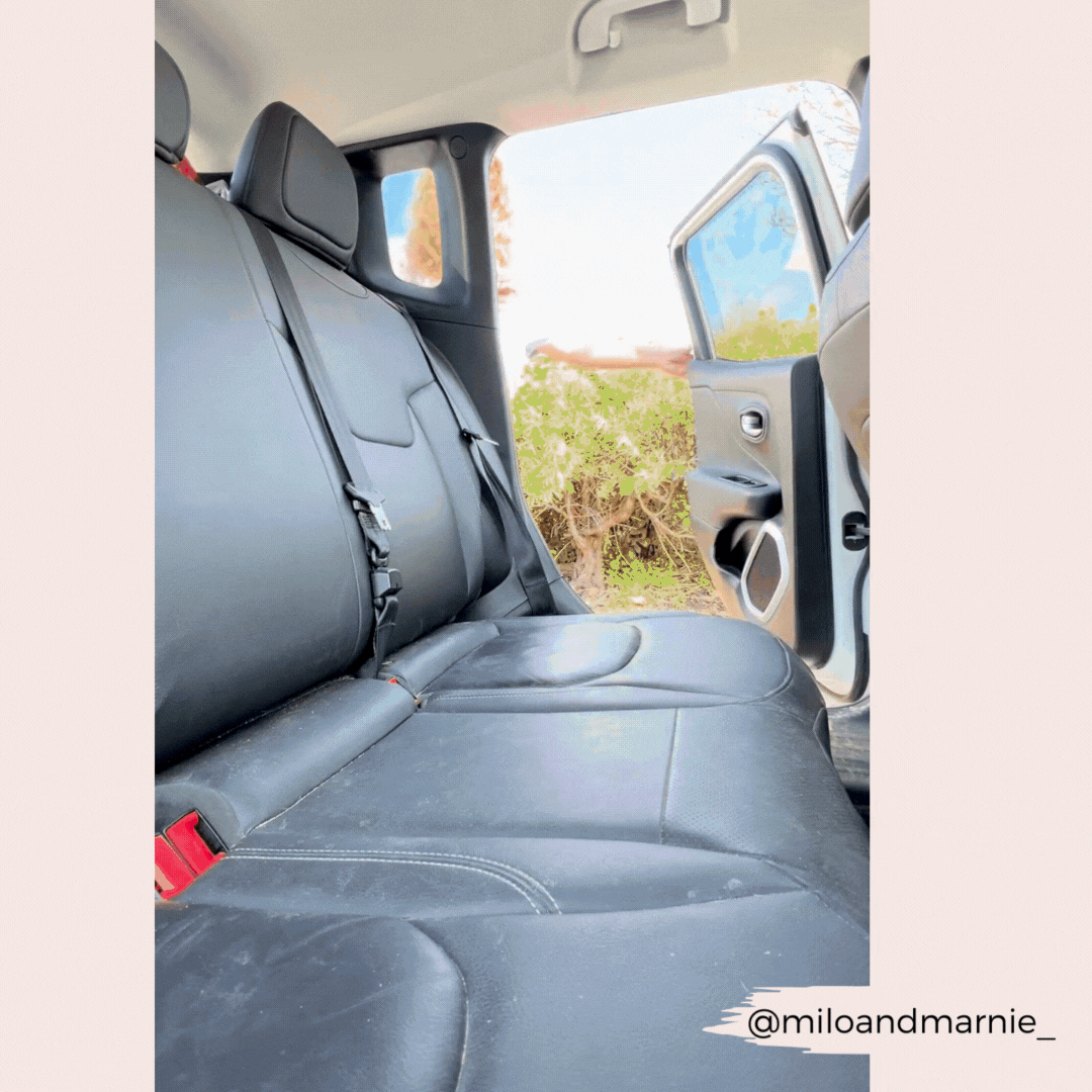 Seat Belt Restraint - Mocha Flower
