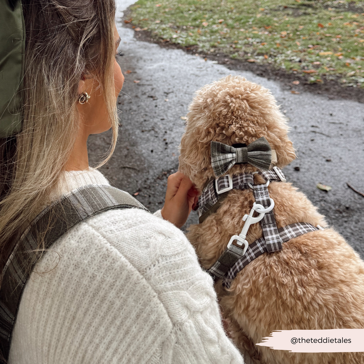 Olive Check Adjustable Neck Harness, Lead & Collar Bundle