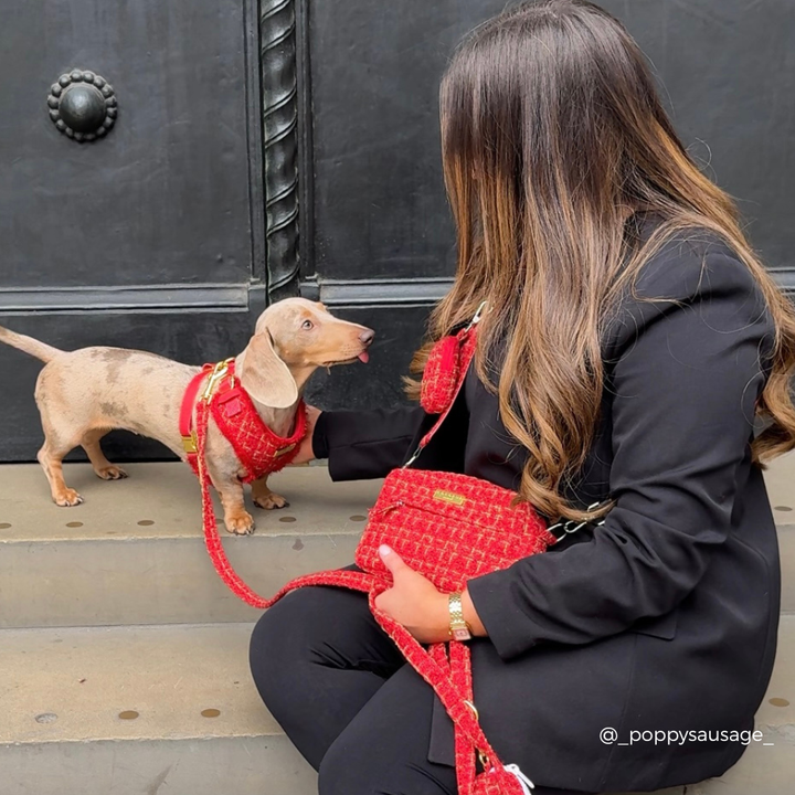 Red Textured Tweed Adjustable Neck Harness, Lead & Collar Bundle